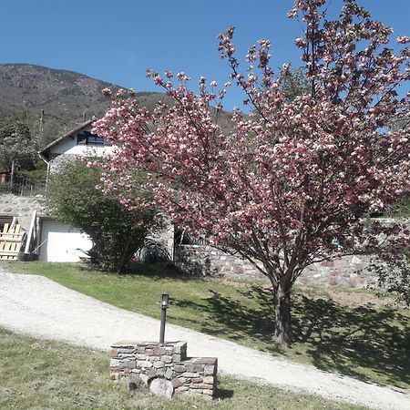 La Petite Chataigne Valdeblore Kültér fotó